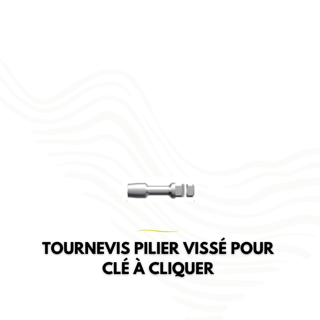 Tournevis SuperLine