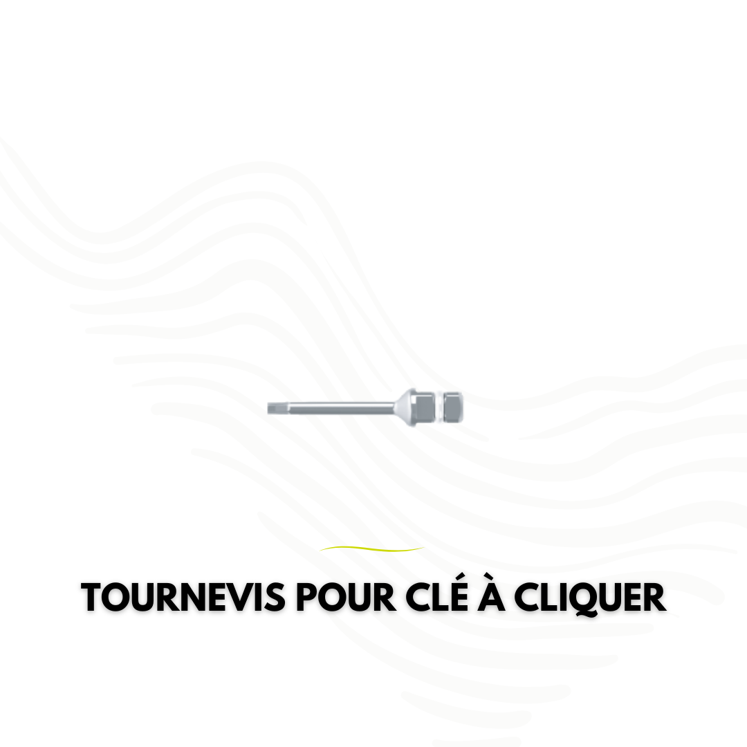 Tournevis SuperLine