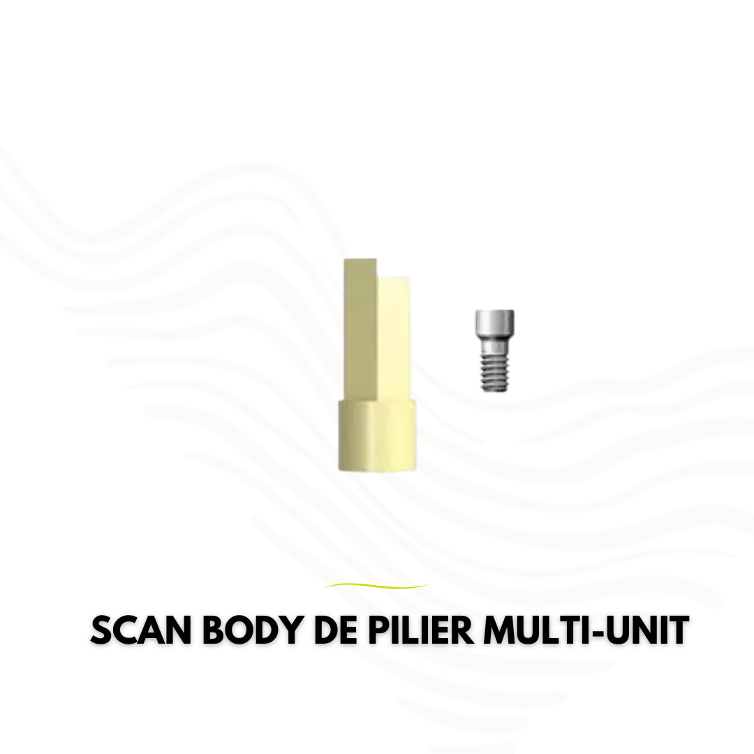 Scan Body de pilier vissé