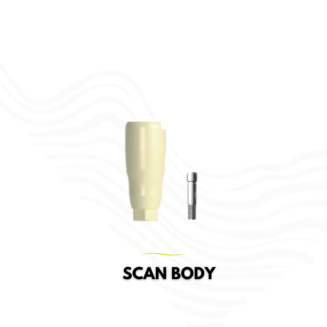Scan Body