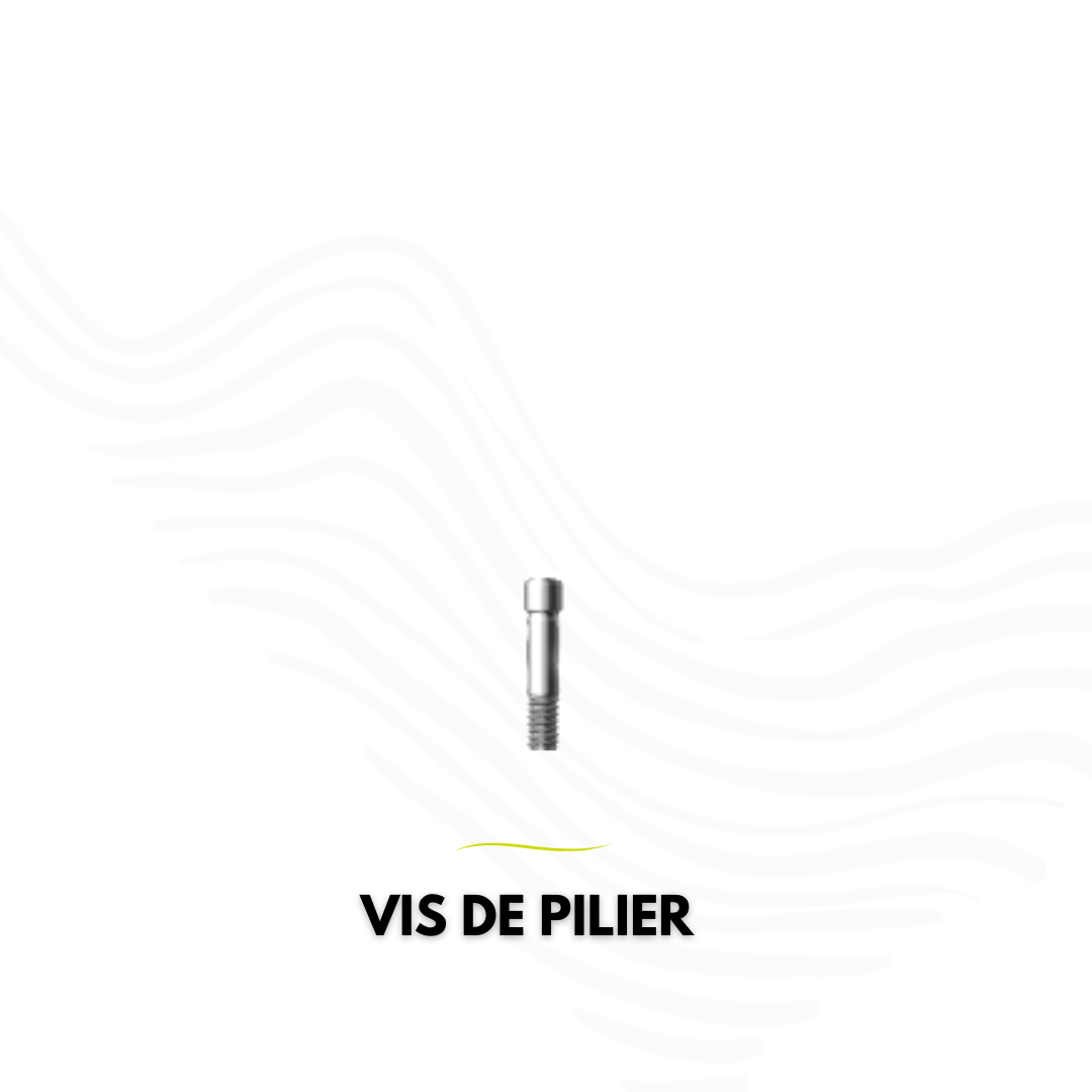 Vis de pilier