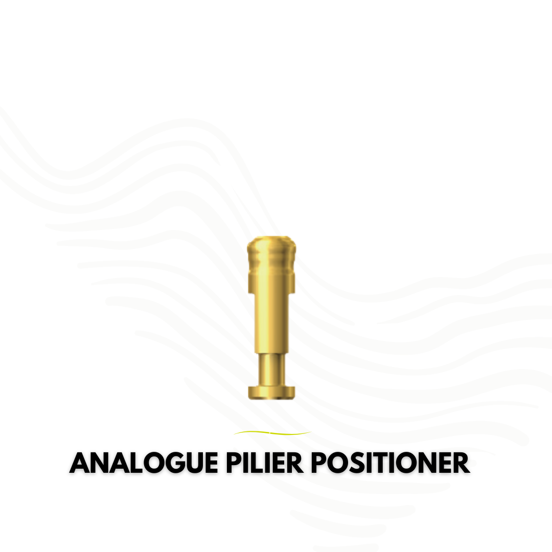 Analogue du positioner