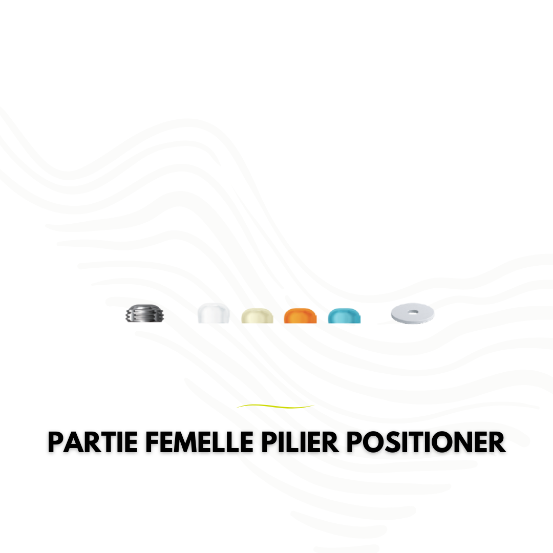 Partie femelle (lot)