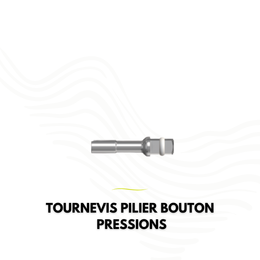 Tournevis du pilier bouton pression