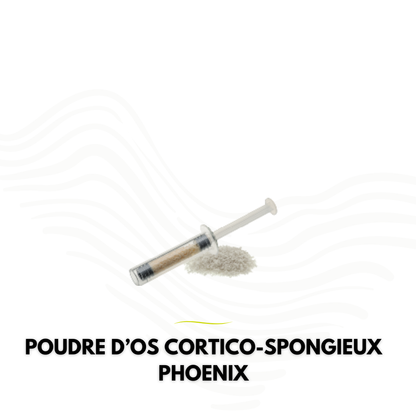 Poudre d'os cortico-spongieux PHOENIX